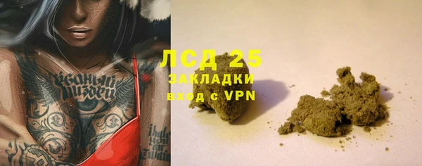 ГАЛЛЮЦИНОГЕННЫЕ ГРИБЫ Бородино