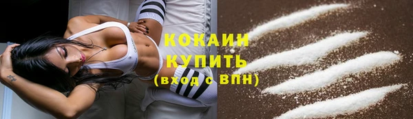 ГАЛЛЮЦИНОГЕННЫЕ ГРИБЫ Бородино