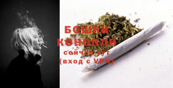 ГАЛЛЮЦИНОГЕННЫЕ ГРИБЫ Бородино