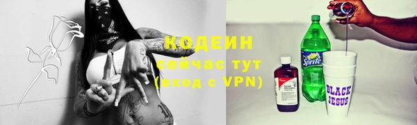 ГАЛЛЮЦИНОГЕННЫЕ ГРИБЫ Бородино