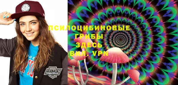 скорость Богданович