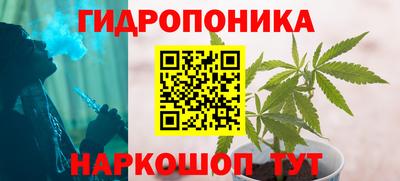 прущая мука Кингисепп
