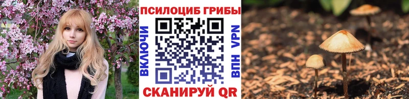 Галлюциногенные грибы ЛСД  Валуйки 